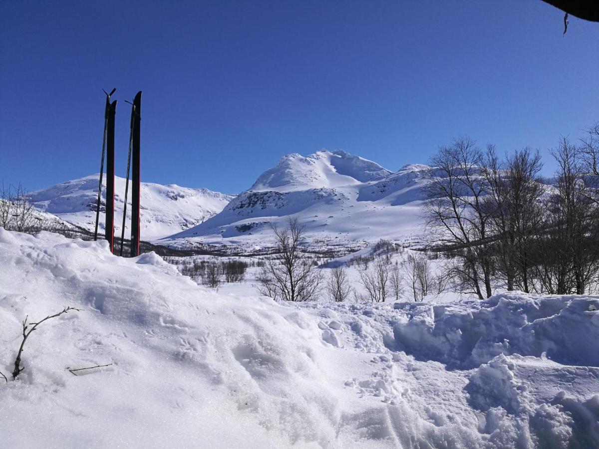 فيلا Lapphaugen Turiststasjon Tennevoll المظهر الخارجي الصورة