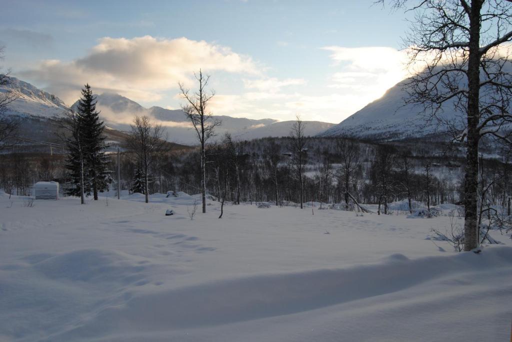 فيلا Lapphaugen Turiststasjon Tennevoll الغرفة الصورة