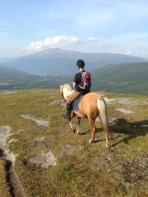 فيلا Lapphaugen Turiststasjon Tennevoll المظهر الخارجي الصورة