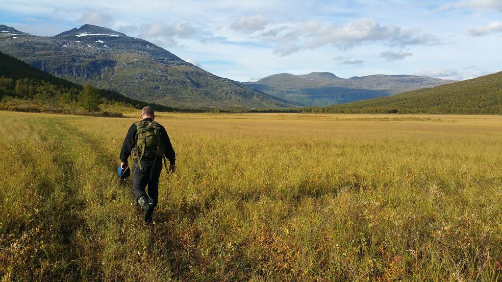 فيلا Lapphaugen Turiststasjon Tennevoll المظهر الخارجي الصورة